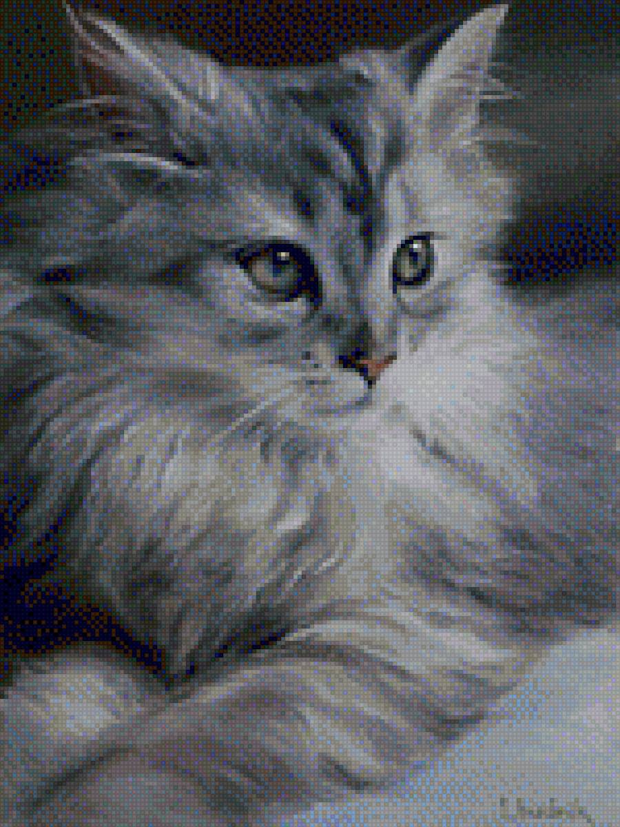 biały kot - кот - предпросмотр