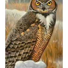 Схема вышивки «Филин.»