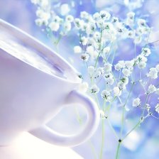 Схема вышивки «Гипсофилы1»