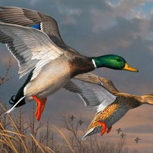 Схема вышивки «птицы»