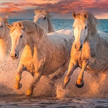 Схема вышивки «кони на закате»