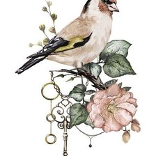 Схема вышивки «Шебби»