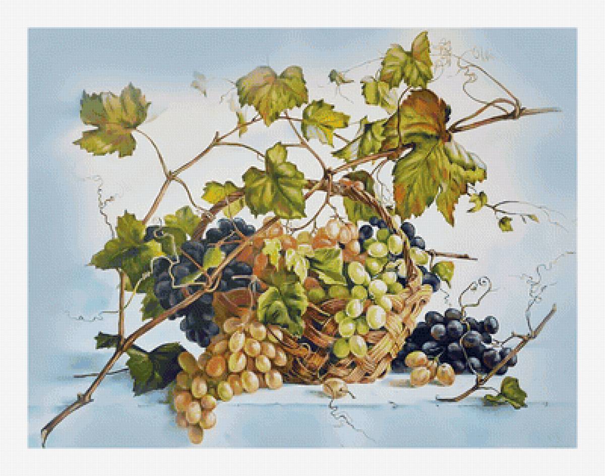 Натюрморт с виноградом. - живопись, лоза, виноград, натюрморт, ягоды - предпросмотр