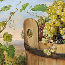 Схема вышивки «Виноградная лоза.»