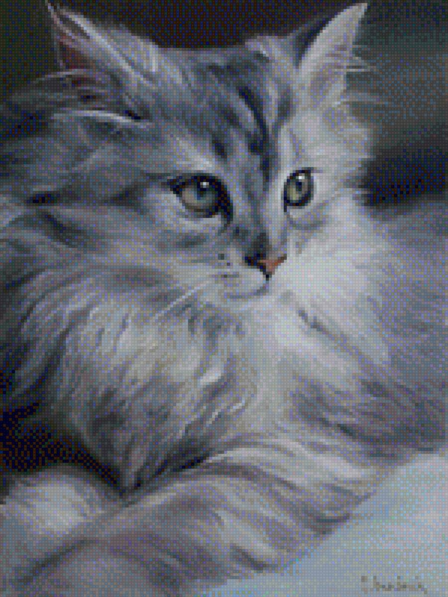 biały kot jaśniejszy - кот - предпросмотр