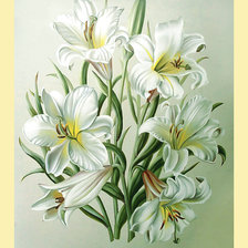 Схема вышивки «Серия "Цветы". Лилии»