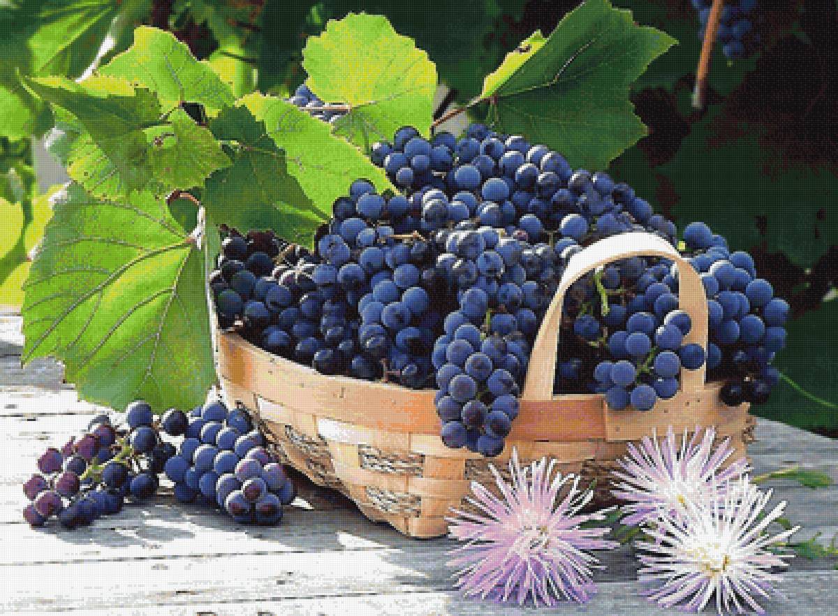 №2049654 - предпросмотр