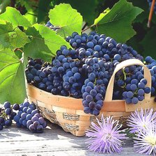 Схема вышивки «№2049654»