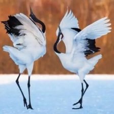 Схема вышивки «Журавли»