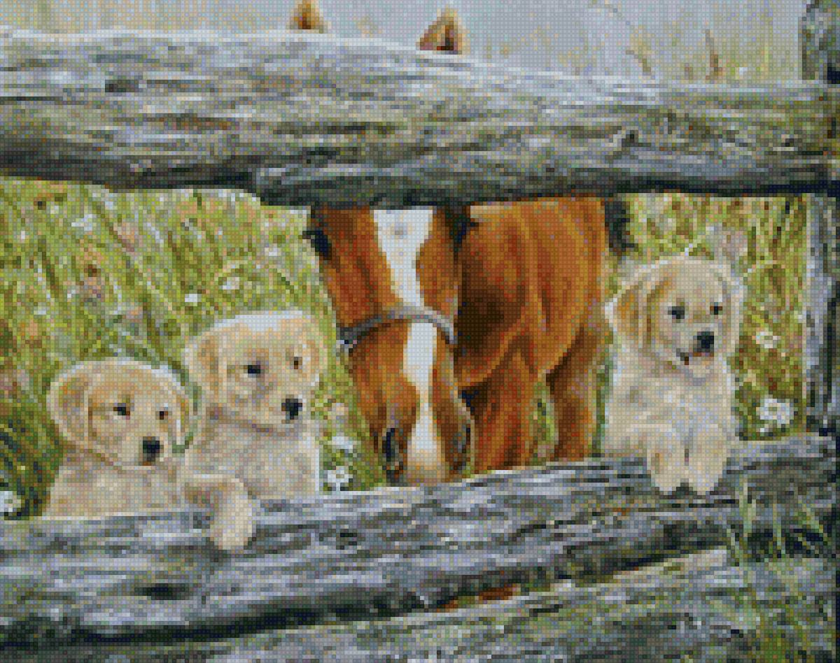 сельская идилия - жеребенок, щенки - предпросмотр