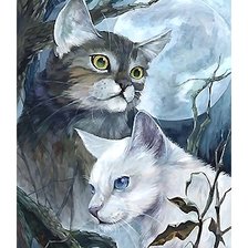 Схема вышивки «№2049910»