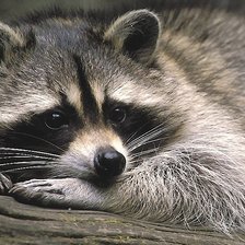 Схема вышивки «№2050256»