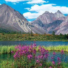 Схема вышивки «Сибирь»