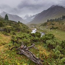 Схема вышивки «Восток Дальний»