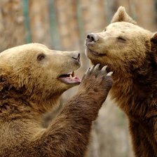 Схема вышивки «Медвежья нежность»