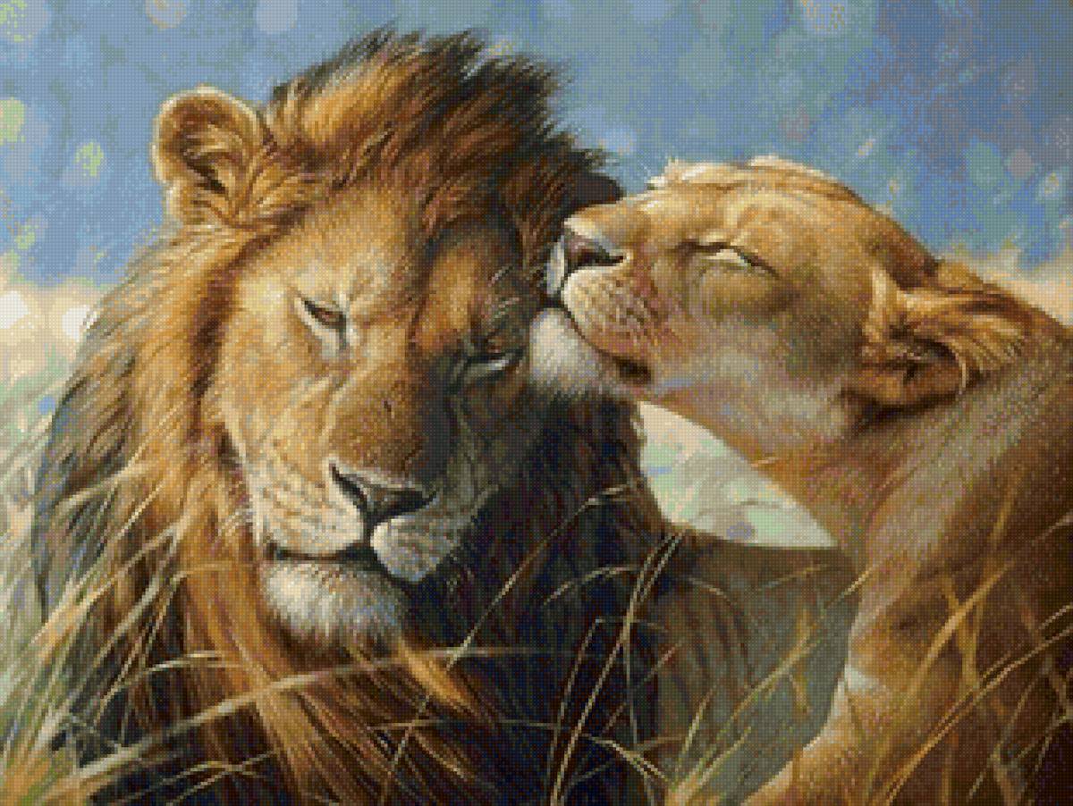 Львиная пара - животные, львы, звери - предпросмотр