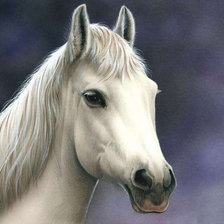 Схема вышивки «Белая красавица»