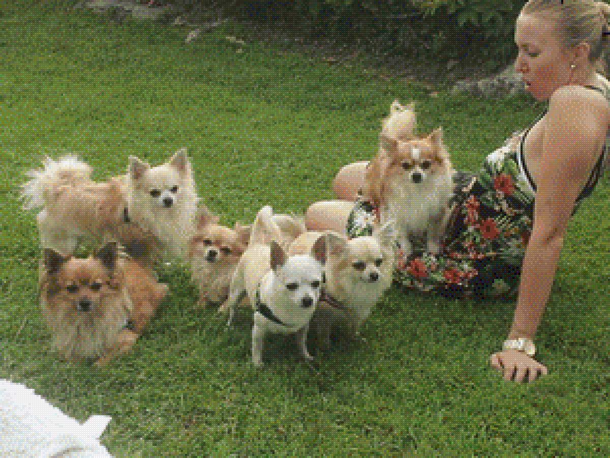 la mia famiglia - famiglia - предпросмотр