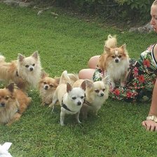 Схема вышивки «la mia famiglia»