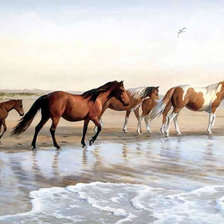 Схема вышивки «Худ. Пэрис Клейтон Плотин (США)»