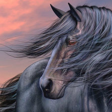 Схема вышивки «Лошадь черная1»