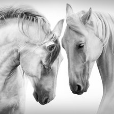 Схема вышивки «лошади»