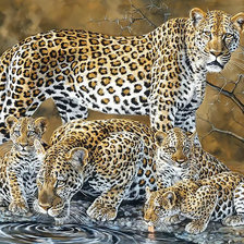 Схема вышивки «Леопарды.»