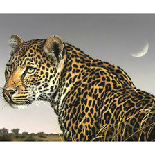 Схема вышивки «Леопард.»