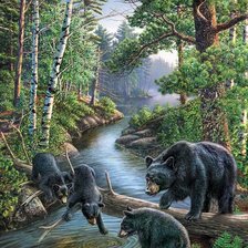 Схема вышивки «дикие»