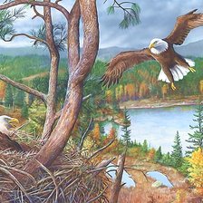 Схема вышивки «№2050923»