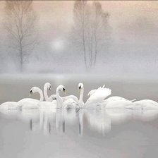 Схема вышивки «№2050931»