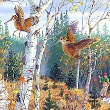 Схема вышивки «№2050999»