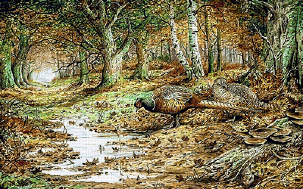 №2051000 - птицы, пейзаж, лес, ручей - предпросмотр