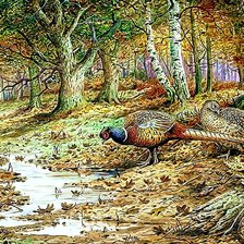 Схема вышивки «№2051000»