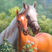 Схема вышивки «пара»