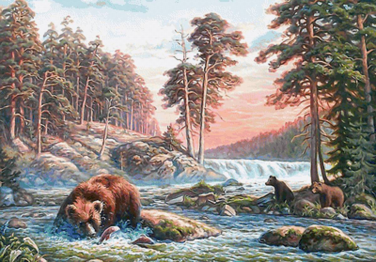 Мишки на рыбалке - закат, медведи, сосны, лес, животные, река - предпросмотр