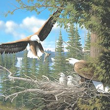 Схема вышивки «Орлы»