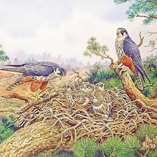 Схема вышивки «№2051102»