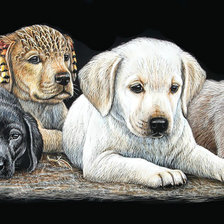 Схема вышивки «Щенки.»