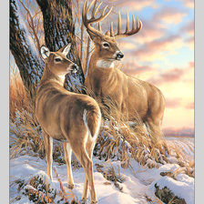 Схема вышивки «Олени зимой.»