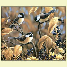 Схема вышивки «Синички.»