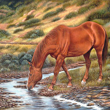 Схема вышивки «В овраге»