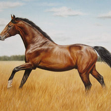 Схема вышивки «Худ. Дубинина Свобода»