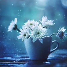 Схема вышивки «Хризантемы»