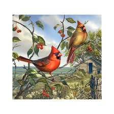 Схема вышивки «Птицы.»