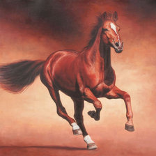 Схема вышивки «№2051917»