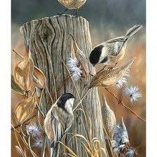 Схема вышивки «Птицы.»