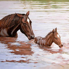 Схема вышивки «Переправа»