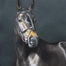 Схема вышивки «Худ. Дубинина (конь Пророк)»