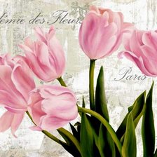 Схема вышивки «Тюльпаны»